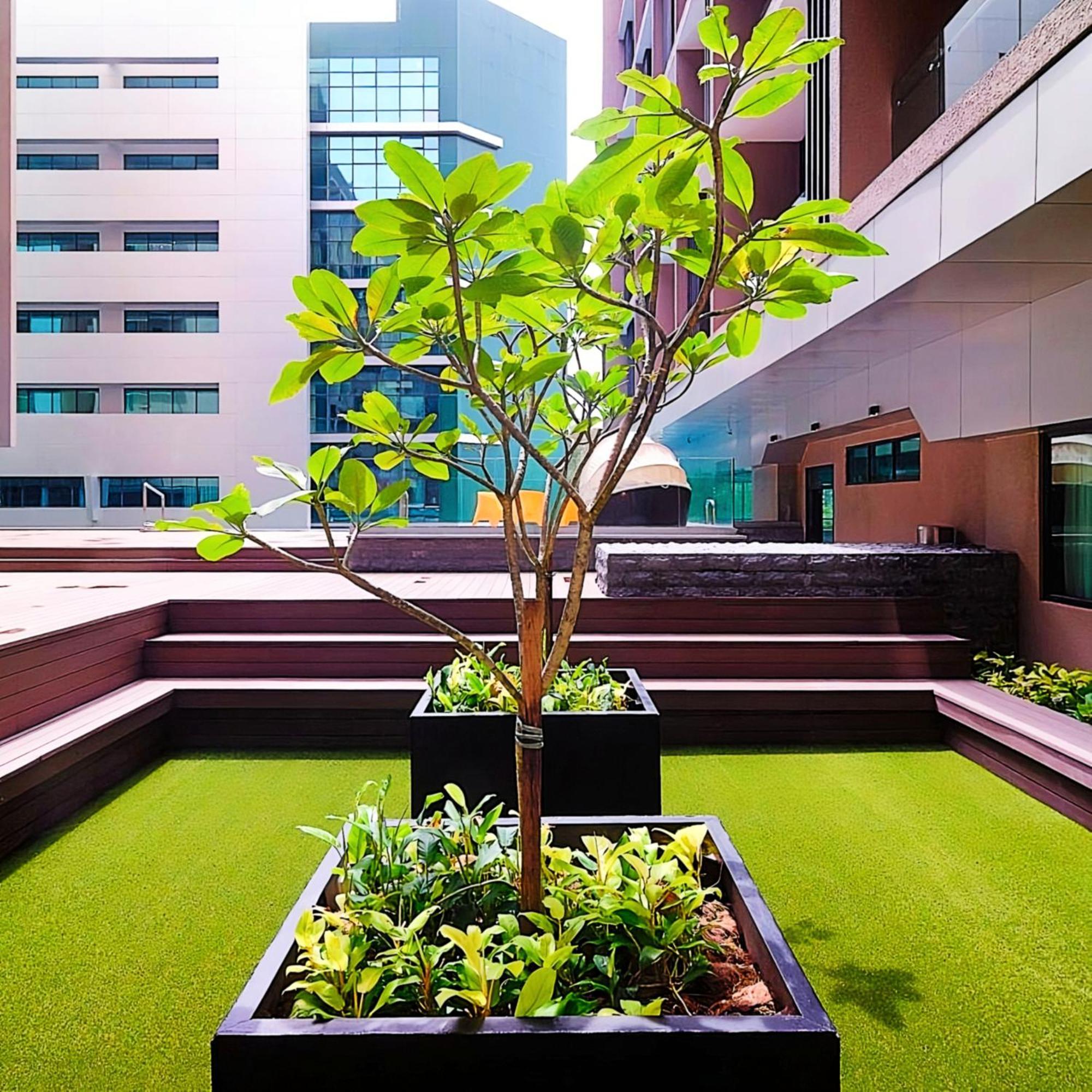 D'Casa Riverson At Kota Kinabalu Eksteriør billede